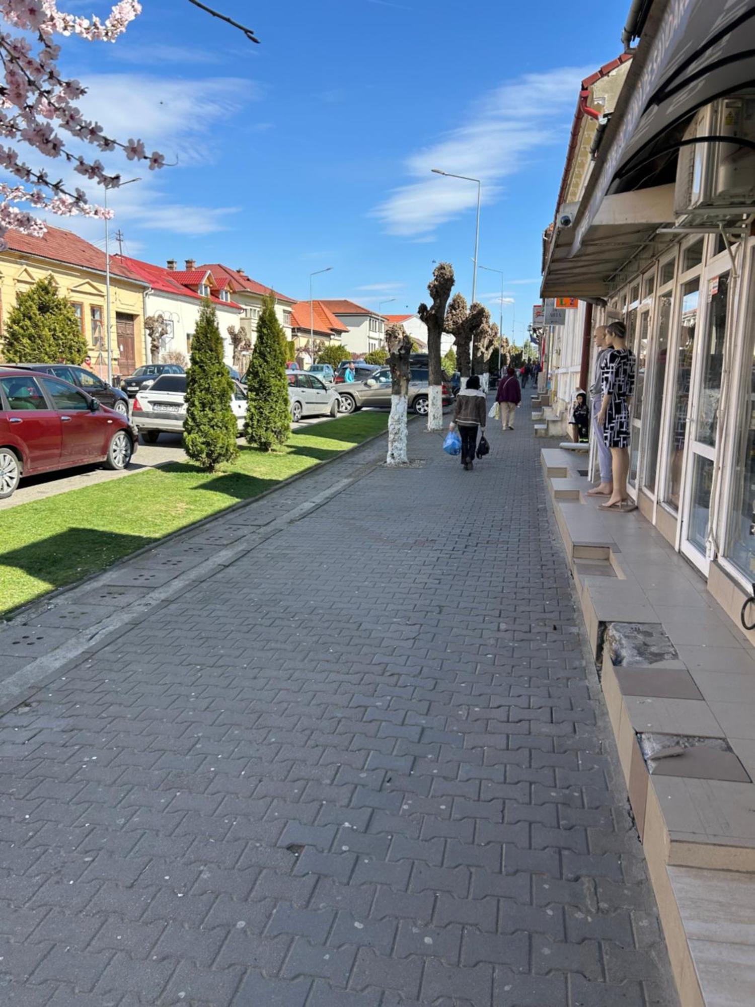 Bivolul Negru Lägenhet Blaj Exteriör bild