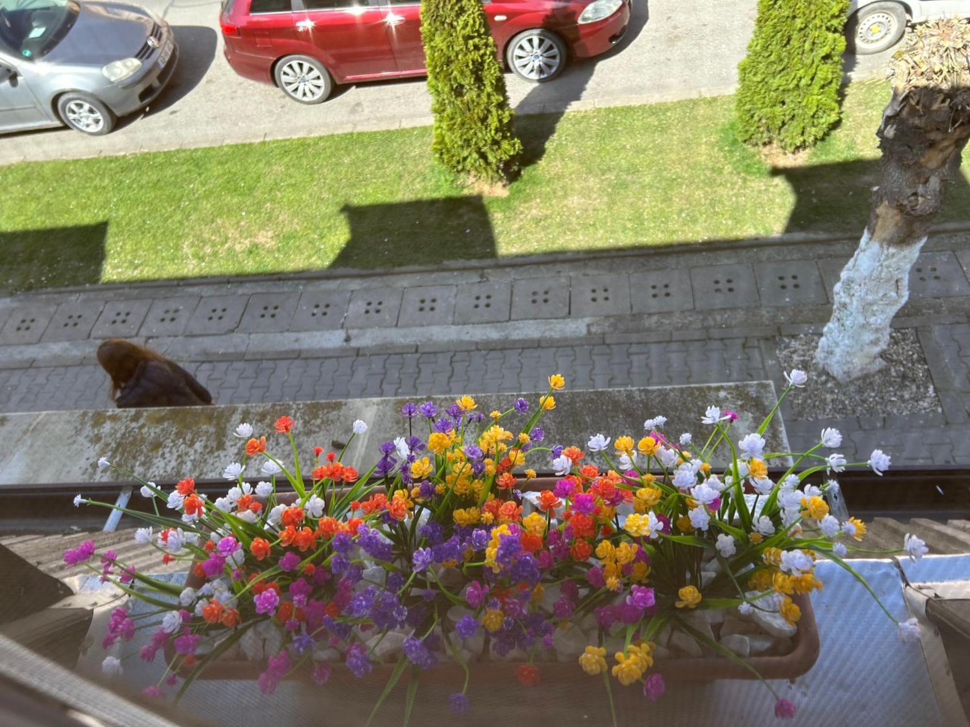 Bivolul Negru Lägenhet Blaj Exteriör bild